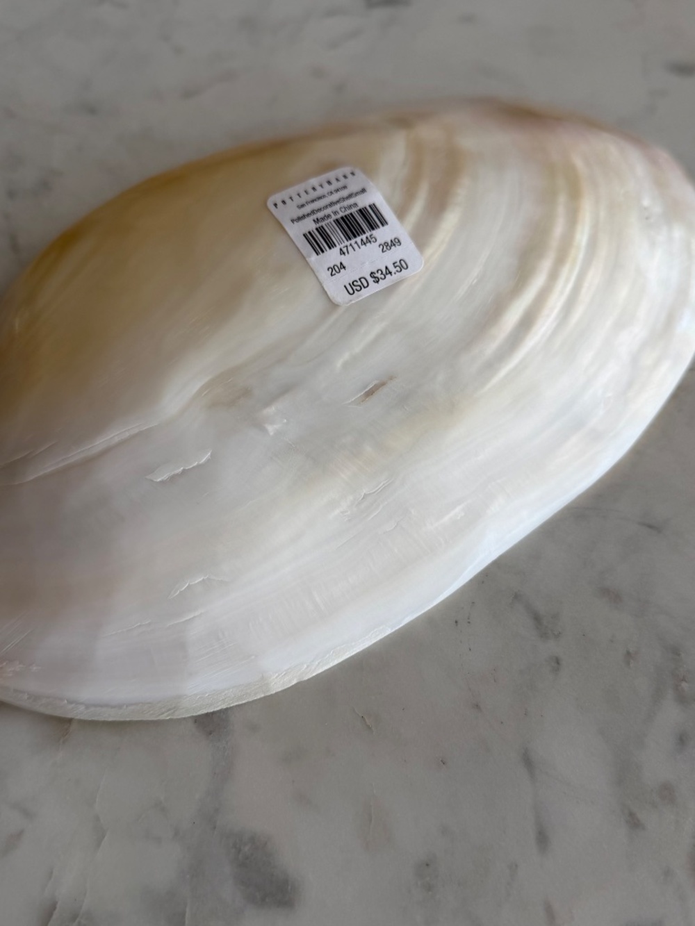 NWT! Pottery Barn Polished Decorative Shell - Picture 5 of 5